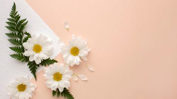 These are a series of Benefits of Jasmine Flowers for Health!